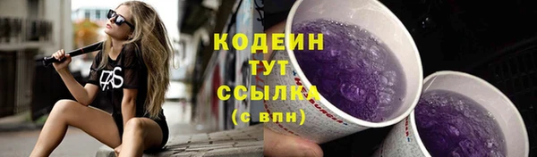стаф Каменск-Шахтинский