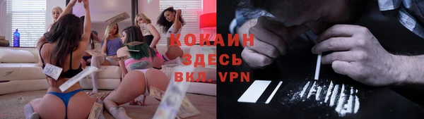 стаф Каменск-Шахтинский