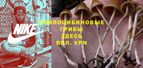 стаф Каменск-Шахтинский