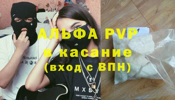дмт Каменка