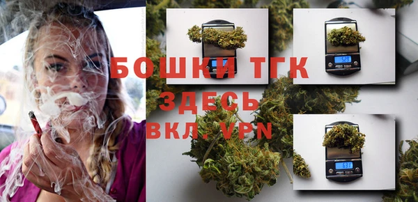 стаф Каменск-Шахтинский
