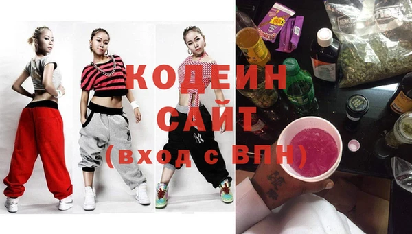дмт Каменка