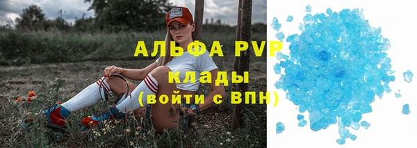 дмт Каменка