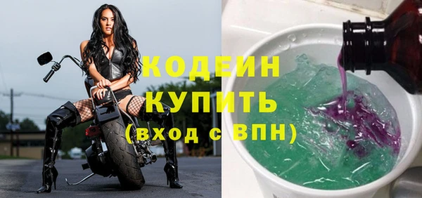 стаф Каменск-Шахтинский
