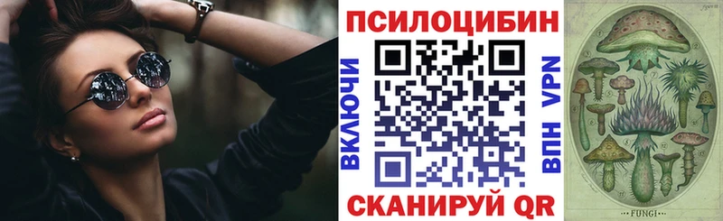 Галлюциногенные грибы GOLDEN TEACHER  Купить где  Красный Кут 