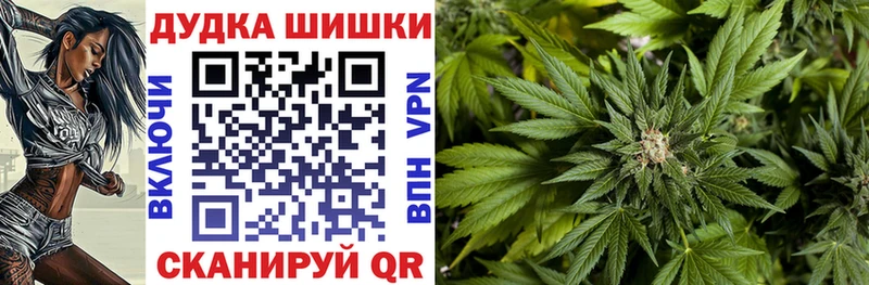 Купить закладки  Красный Кут  Канабис сатива 